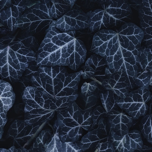 не бачити, не торкатись