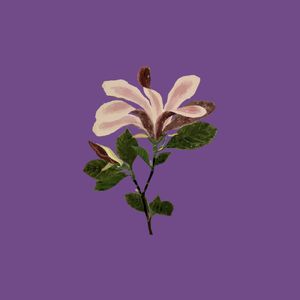 月が綺麗ねと言われたい！（多想听你说月色真美）