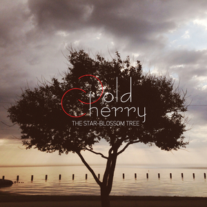 별이 열리는 나무