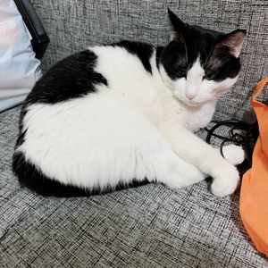 悬疑诡异类背景音