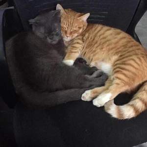 You're Gonna Need Me