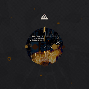 Capture & Seize (Audiolog remix 1)