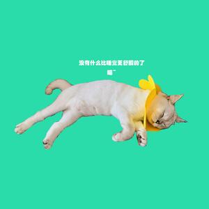 没有什么比睡觉更舒服的了瞄~