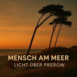 Licht über Prerow