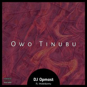 Owo Tinubu