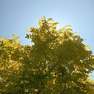 夜晚的风景（纯音乐）