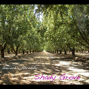 Shady Grove