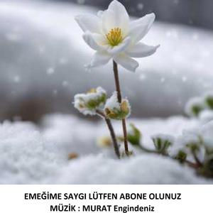 DEPRESYON DA NEYMİŞ (AYŞEGÜL TOPAÇ'ın şiirinden)