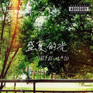 盛夏的光