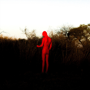 Militantes del Yogur