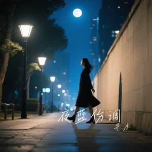 夜蓝伤调