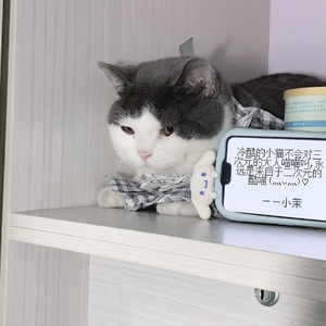 生僻字[铃声版]