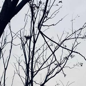 生而陌路（prod by 野格）