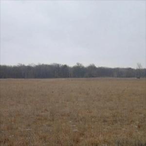 clairvoyant (feat. p4rkr)