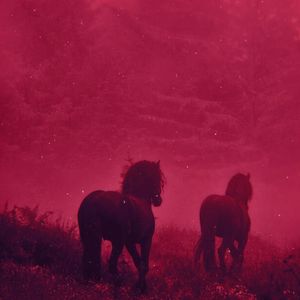 [FREE] AfroSoul Type Beat "Dreamland"