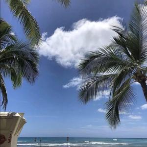 Ava Max-Salt (Xsteer & Kenachi VIP Mix)（Lost Mask remix）