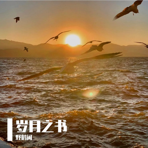 岁月之书