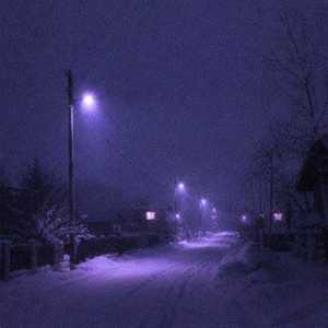 Streetlights in snowfall