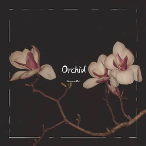 Orchid（Prod by.Lisure）