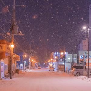 那个夜晚是大雪初晴后的第一面，似乎也是最后一面，我希望在2021年还能再见到她