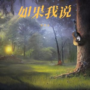 如果我说