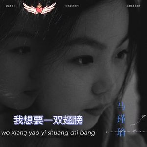 我想要一双翅膀