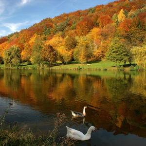 我的未来和你不顺路