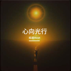 心向光行