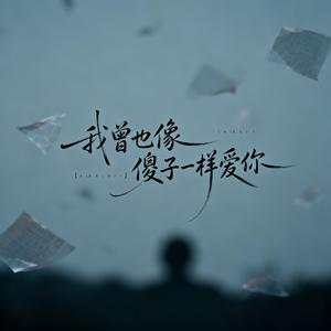我曾也像傻子一样爱你