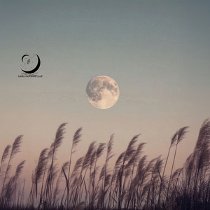 Pensamientos en Reposo