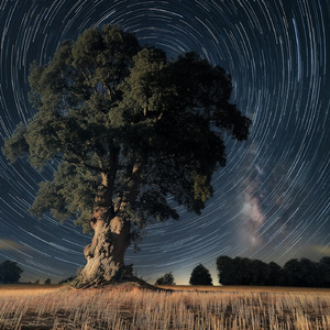 Cariño, tú eres el propósito