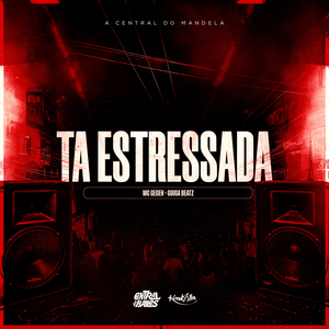 Ta Estressada Slowed