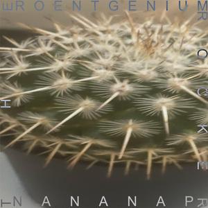 Roentgeniumrockertracktwosidebofnananapeptrackidontknowanygoodnameforthistracksoimmakingitthelongestracknameihavemademaybelongesttracknameinallofbandcampandmaybeevenlongesttravknameinallofmusicdoyouthinkthatthiscoukdwinyesornoithinkyourethinkingofnoalsoth