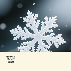 雪之梦