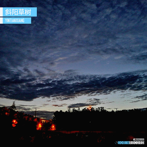 斜阳草树
