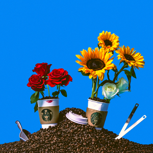 커피가게 아가씨 (Prod. PEEJAY)