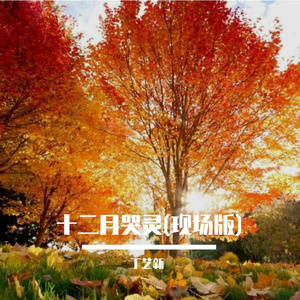 十二月哭灵(现场版)