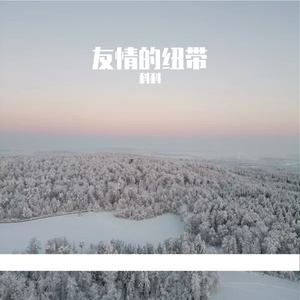 友情的纽带