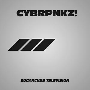 Disclaimer / Paid Programming