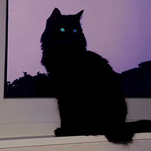 Она пишет мне Wassup