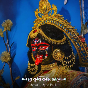 মন রে কৃষি কাজ জানো না