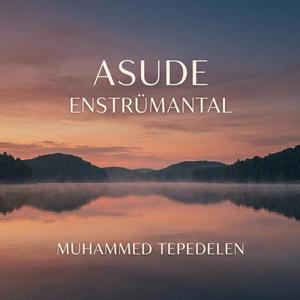 Asude (Enstrümantal)