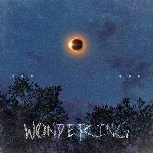 Wondering