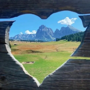 爱的解药与城堡