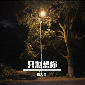 只剩想你