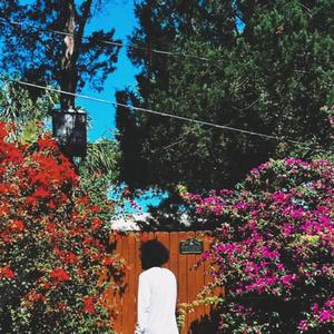 Scarfire (feat. David)