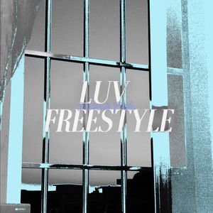 Luv Freestyle(Prod by DTS)