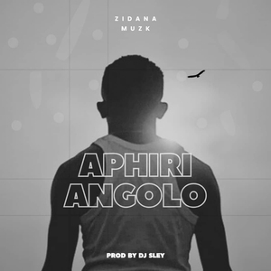 Aphiri a Ngolo