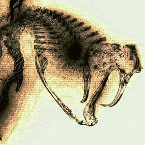 Automotivo Bibi Fogosa Remix