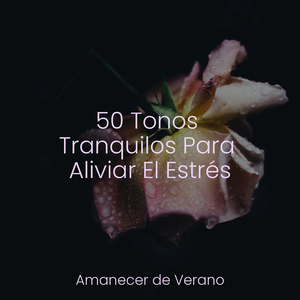Ecos de Melancólicas Flores Silvestres